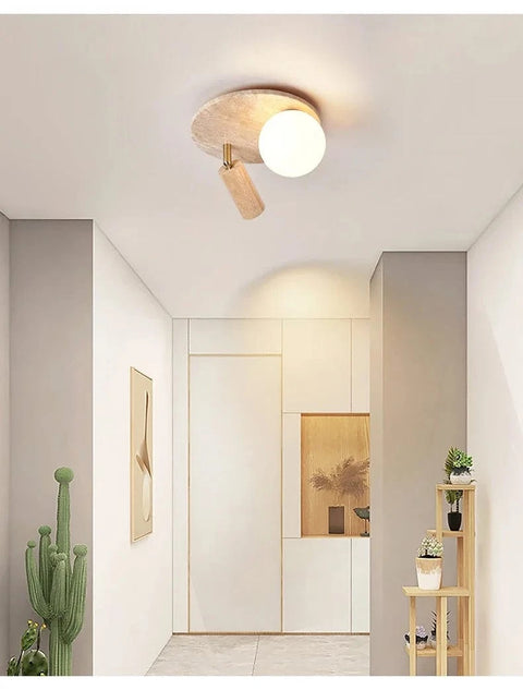 applique spot plafond entree