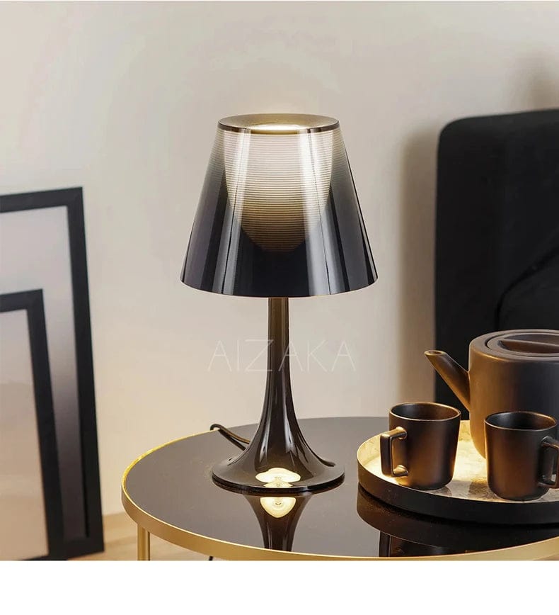lampe noire classe